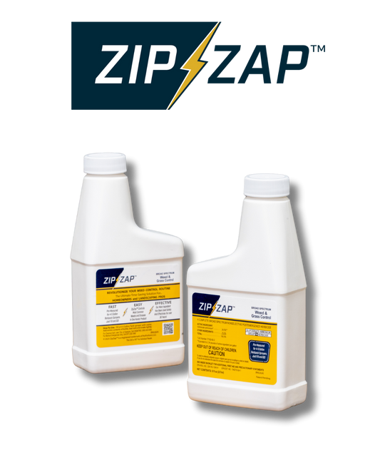 ZipZap 6-Pack